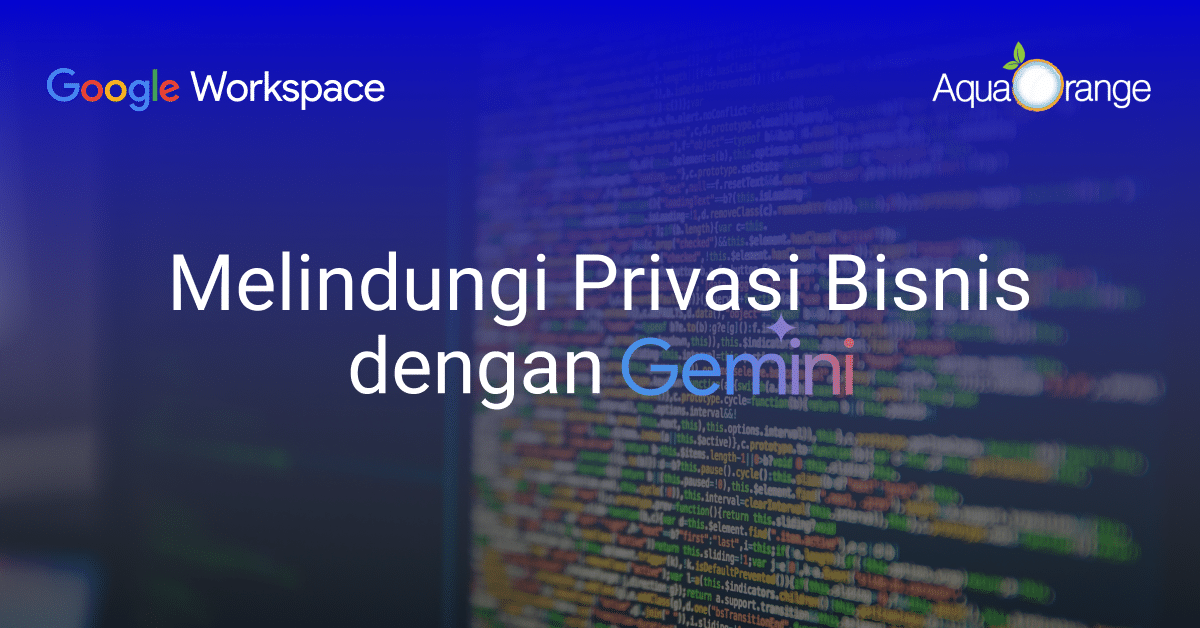 26 protecting privacy with gemini