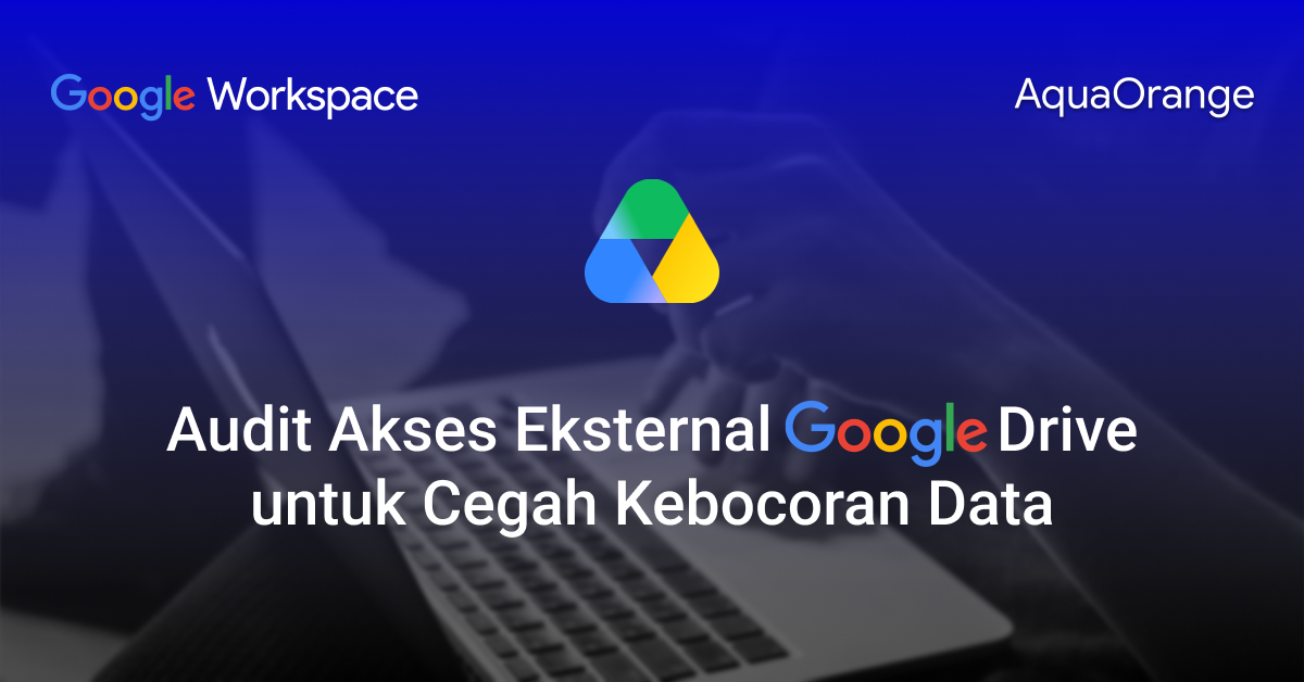10. External Access Audits